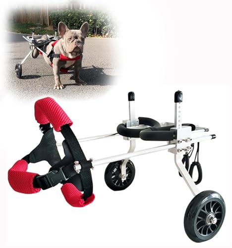 BLUEZY Hunde Wagen Rollstuhl Hunderollstuhl, Hund Rollstuhl Einstellbare Gehhilfe, Haustier-/Hunderollstuhl, Verstellbarer Hundewagen für Hinterbein/Hintere Füße Hund Katze Kaninchen Small