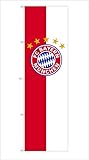 FC Bayern Hissfahne XL Flagge Logo 150 x 400 cm mit 4 Metall-Karabinerhaken für Fahnenmast