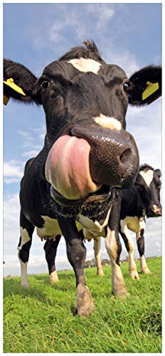 Wallario Selbstklebende Türtapete Lustige Kuh auf der Weide mit herausgestreckter Zunge - 93 x 205 cm in Premium-Qualität: Abwischbar, Brillante Farben, rückstandsfrei zu entfernen
