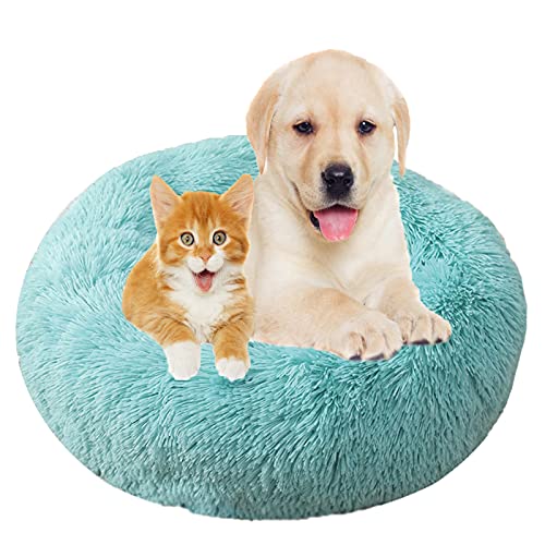 Hundebett, Rund Plüsch Haustierbett Flauschig Waschbares Katzenbett mit Reißverschluss Warme Donut Hundekissen für Haustiere- Emerald Green|| Ø 70cm/28in