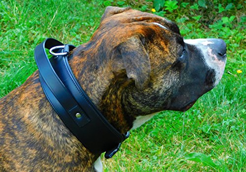 Tysons Breeches Lederhalsband HALTI Festhalteriemen ! genäht Schwarz Breit Extra unterlegt Lederhalsband große/mittlere Hunde (XL)