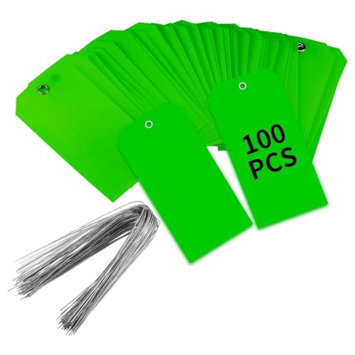 RIVNN 100 Stück Kunststoff-Versandanhänger mit Drähten, blanko, wasserdicht, zum Aufhängen (grün)