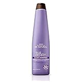 Blueberry Silver Shampoo Fco X 350Ml - Plife Be Natural