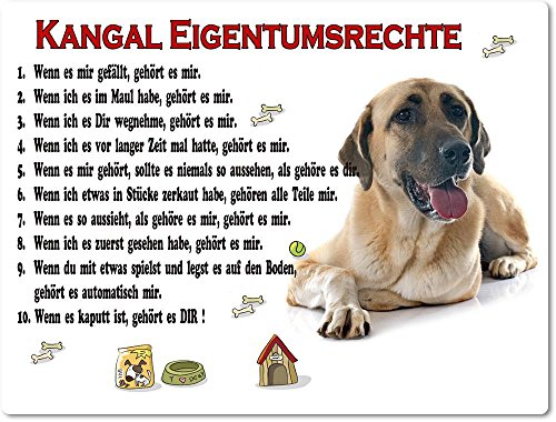 Merchandise for Fans Blechschild/Warnschild/Türschild - Aluminium - 30x40cm Eigentumsrechte Motiv: Kangal/Anatolischer Hirtenhund (01)