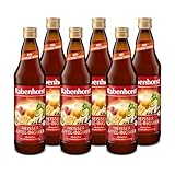 RABENHORST Heißer Apfel-Ingwer BIO 6er Pack (6 x 700 ml) - Alkoholfreies Bio-Heißgetränk mit Ingwer und Lindenblütenhonig