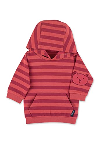 Sterntaler Kleinkind Jungen Sweatshirt Baby Sweatshirt Blockringel Kapuzenpullover - Baby Sweatshirt - mit gefütterter Kapuze - rosa grün, 80
